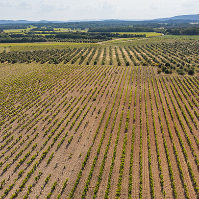 Vue aérienne des vignes de Justine et Valentin, viticulteurs dans la Drôme